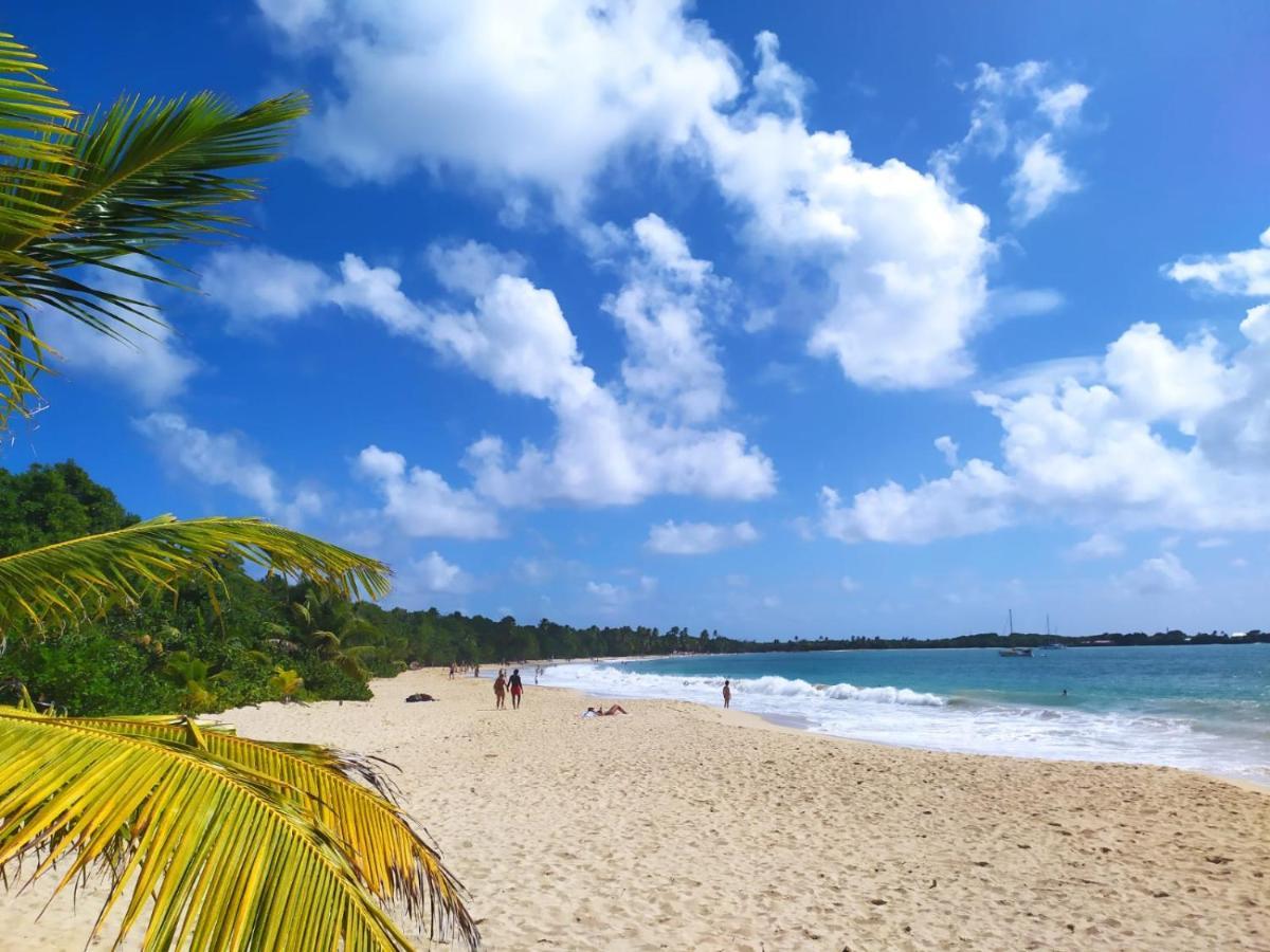 Imagine972 Martinique Bateau Hotel A Quai Le Marin 3 Cabines 3 Salles De Bains 6 Pers Maxi エクステリア 写真